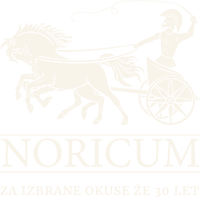 noricum-logo__footer